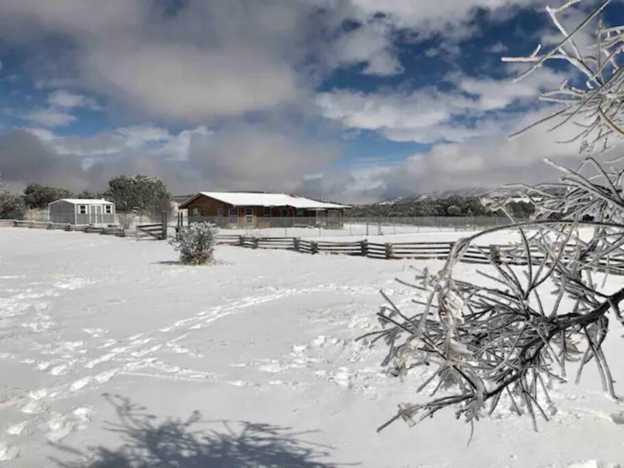 Cottonwood Creek Cabins - Alpine, Tx Exterior photo